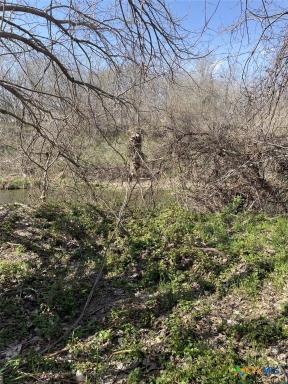 301 Fm 1979, Martindale, TX 78655 - photo 18