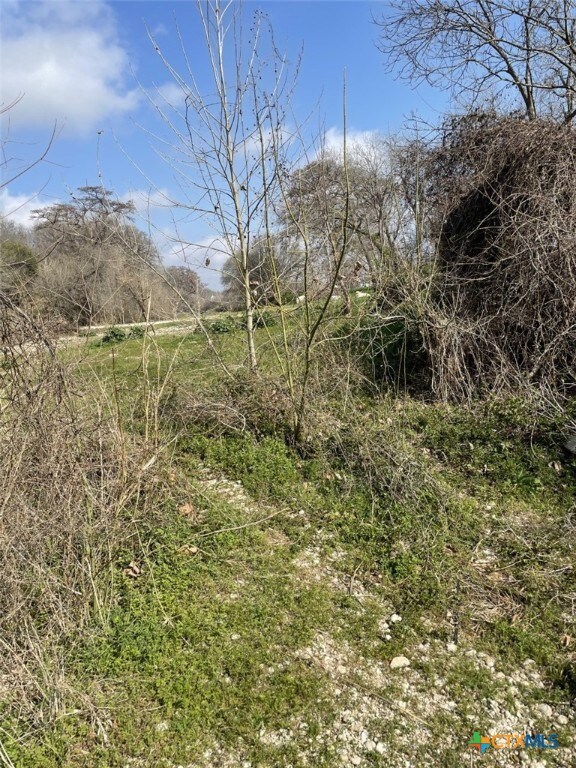 301 Fm 1979, Martindale, TX 78655 - photo 6