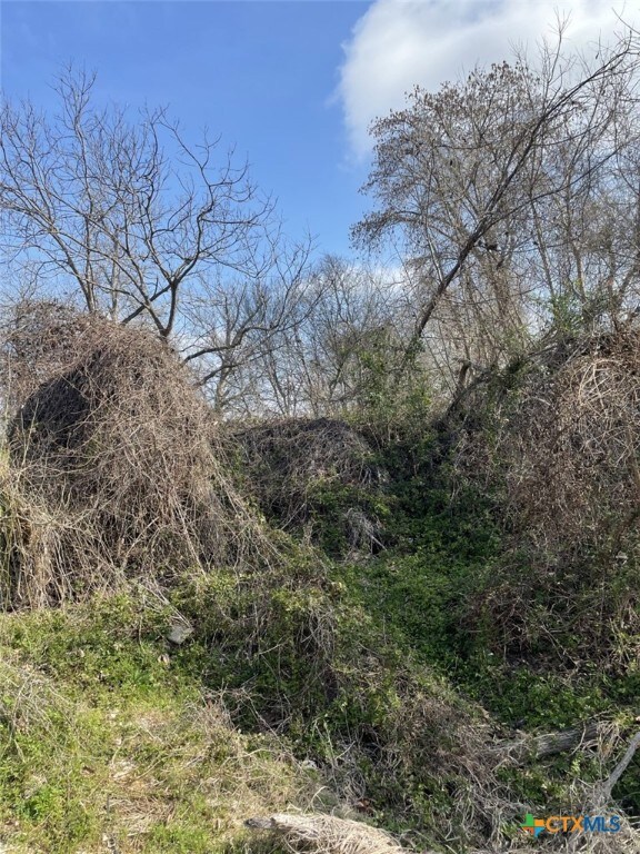 301 Fm 1979, Martindale, TX 78655 - photo 5