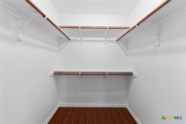 walk in closet with dark hardwood / wood-style flooring