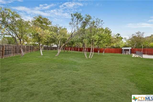 view of yard with an outbuilding