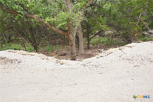 197 Bogi St, Canyon Lake, TX 78133 - photo 11