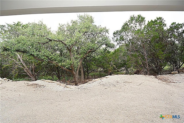 197 Bogi St, Canyon Lake, TX 78133 - photo 12