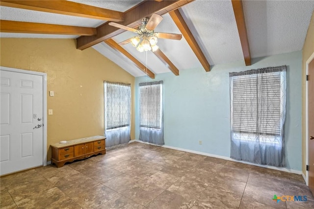 13167 State Highway 111, Yoakum, TX 77995 - photo 12