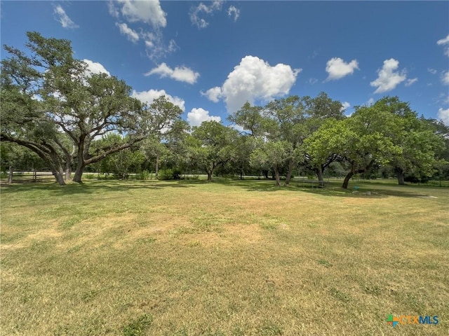 13167 State Highway 111, Yoakum, TX 77995 - photo 31