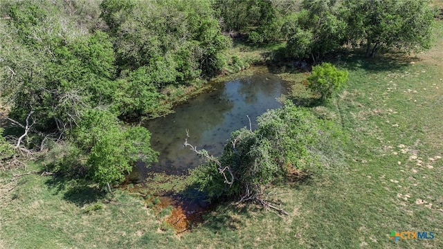 1222 Odaniel School Rd, Seguin, TX 78155 - photo 8