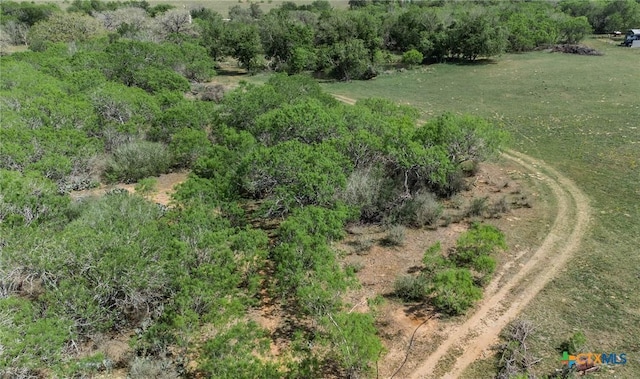 1222 Odaniel School Rd, Seguin, TX 78155 - photo 10