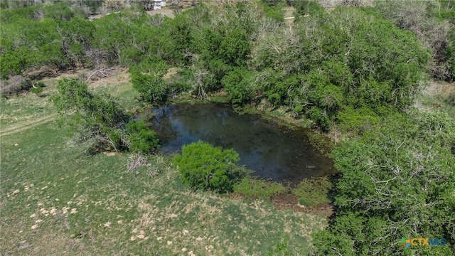 1222 Odaniel School Rd, Seguin, TX 78155 - photo 12