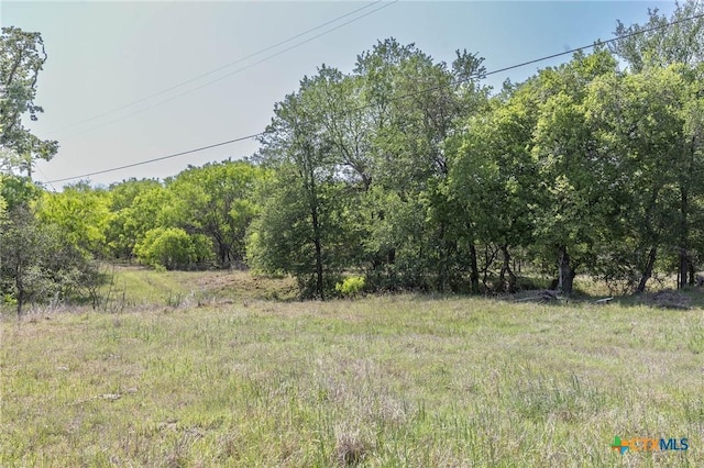 1222 Odaniel School Rd, Seguin, TX 78155 - photo 4