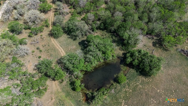 1222 Odaniel School Rd, Seguin, TX 78155 - photo 7