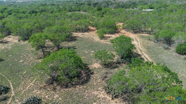 1222 Odaniel School Rd, Seguin, TX 78155 - photo 11