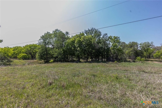 1222 Odaniel School Rd, Seguin, TX 78155 - photo 3