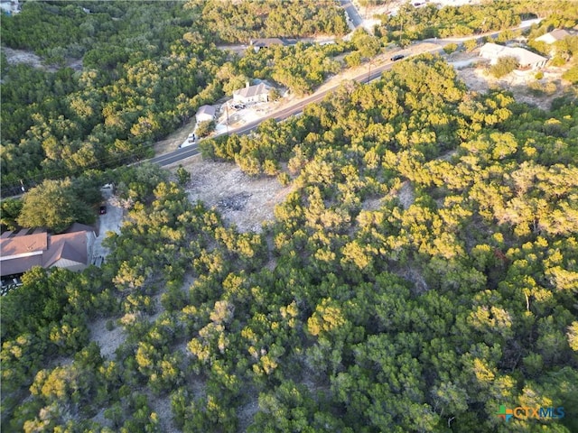 2114 Johnson Rd, Canyon Lake, TX 78133 - photo 5