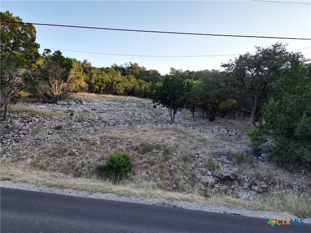 2114 Johnson Rd, Canyon Lake, TX 78133 - photo 6
