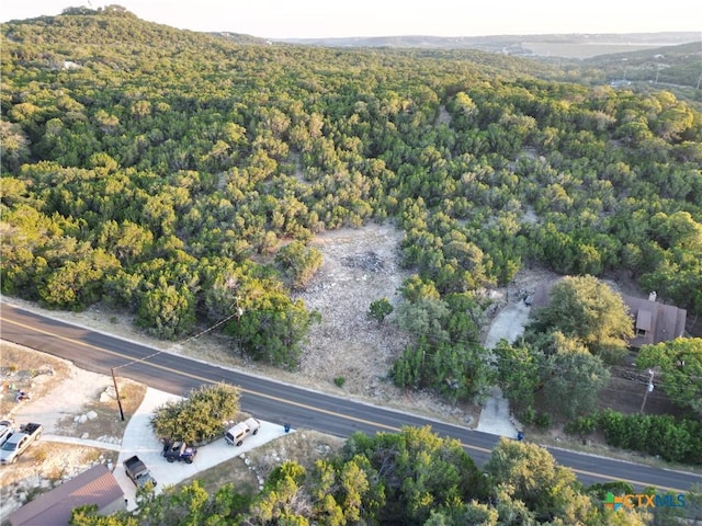 2114 Johnson Rd, Canyon Lake, TX 78133 - photo 2