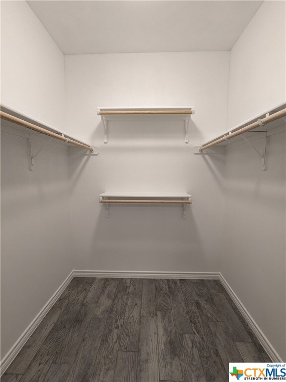 walk in closet with dark hardwood / wood-style flooring