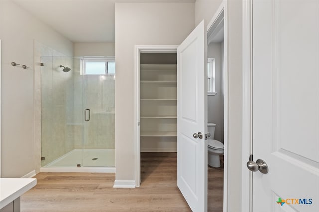 bathroom featuring toilet, vanity, an enclosed shower, and wood-type flooring