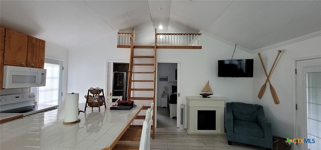 101 E Saint Louis Ave, Seadrift, TX 77983 - living room featuring vaulted ceiling and light wood-type flooring