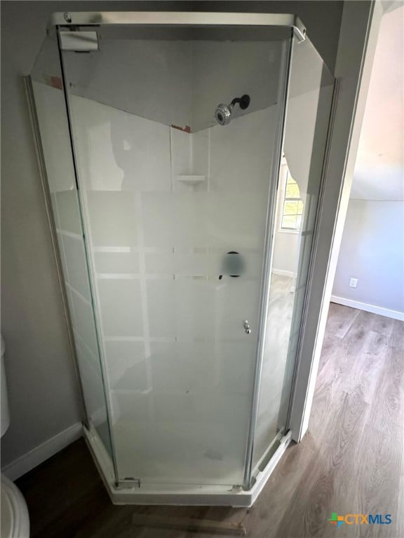 bathroom featuring wood-type flooring and walk in shower