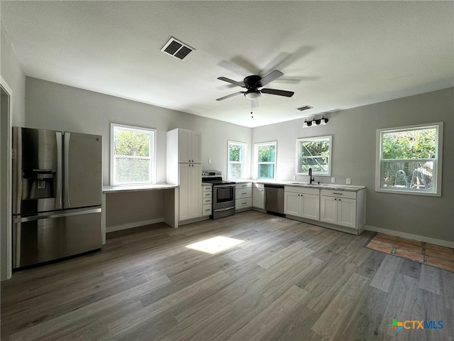 kitchen featuring white cabinets, a wealth of natural light, and appliances with stainless steel finishes