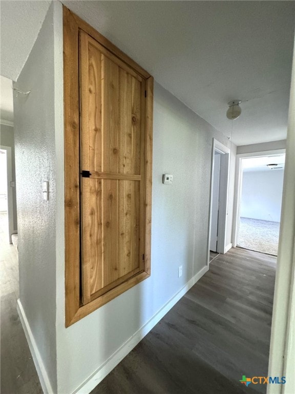 hall featuring dark hardwood / wood-style flooring