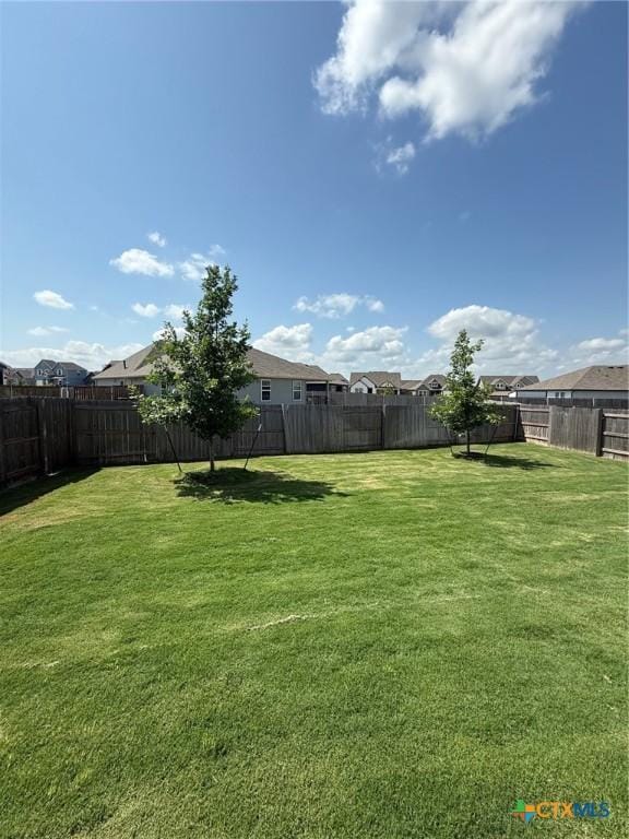 331 William Moon Way, San Marcos, TX 78666 - view of yard