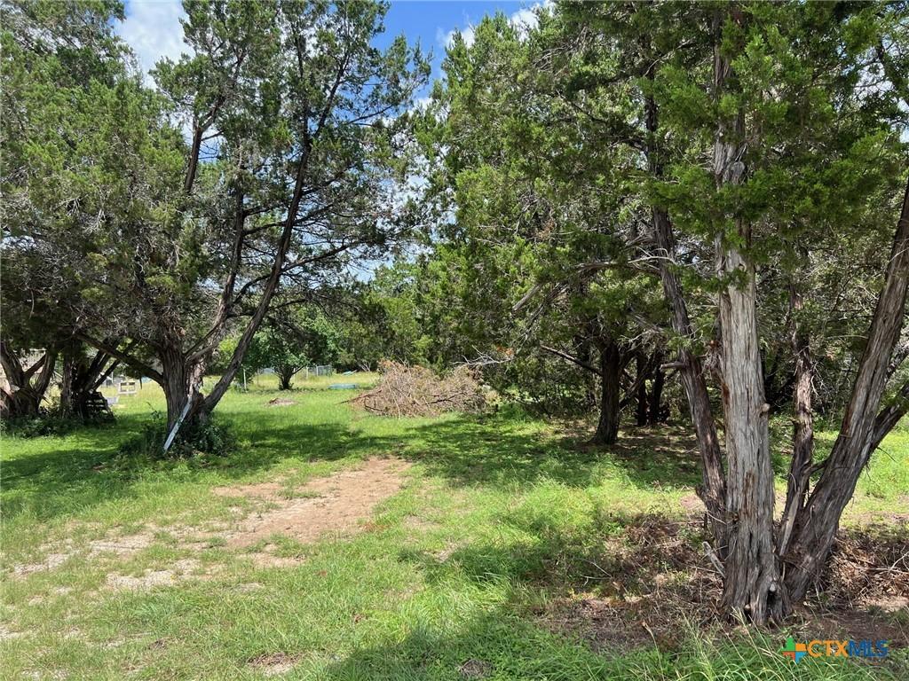 420 Lake Park Loop, Canyon Lake, TX 78133 - photo 3