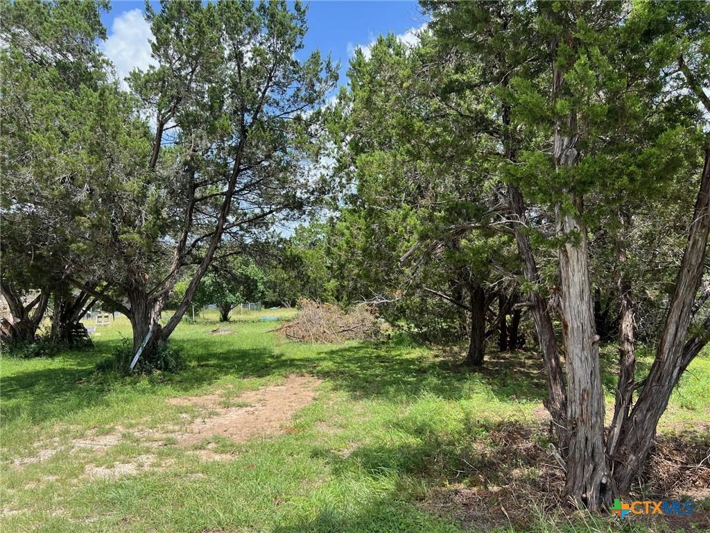 420 Lake Park Loop, Canyon Lake, TX 78133 - photo 2