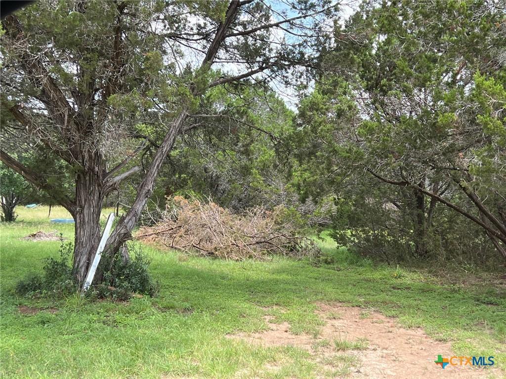 420 Lake Park Loop, Canyon Lake, TX 78133 - photo 1