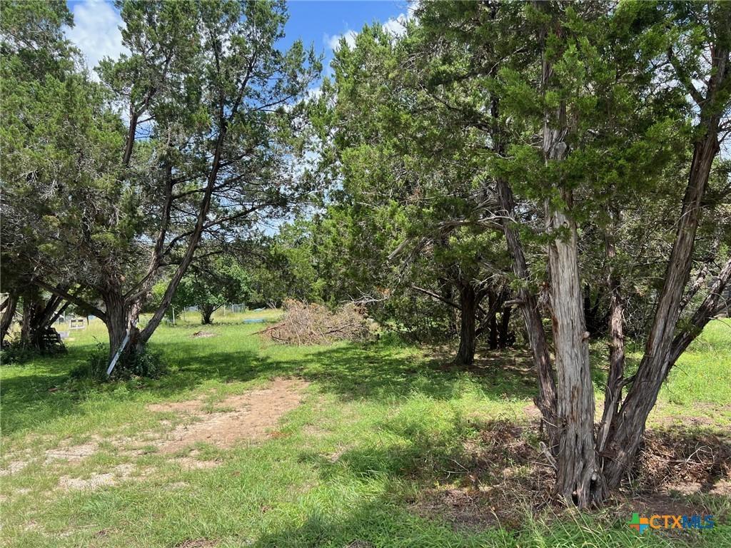 420 Lake Park Loop, Canyon Lake, TX 78133 - photo 4