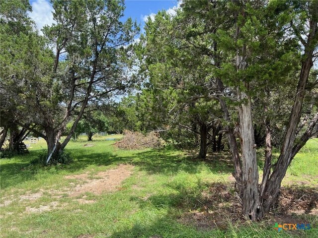 420 Lake Park Loop, Canyon Lake, TX 78133 - photo 4