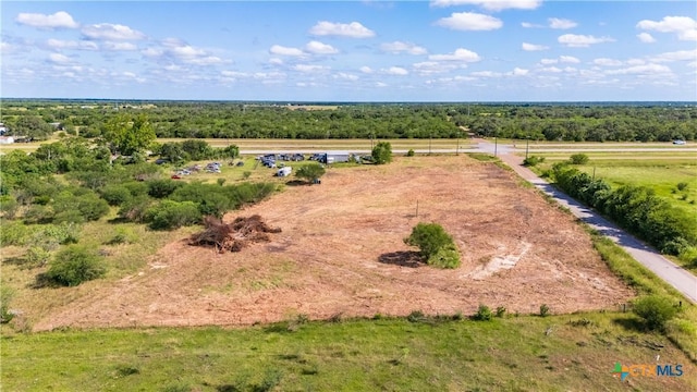 2424 US Highway 59, Goliad, TX 77963 - photo 7