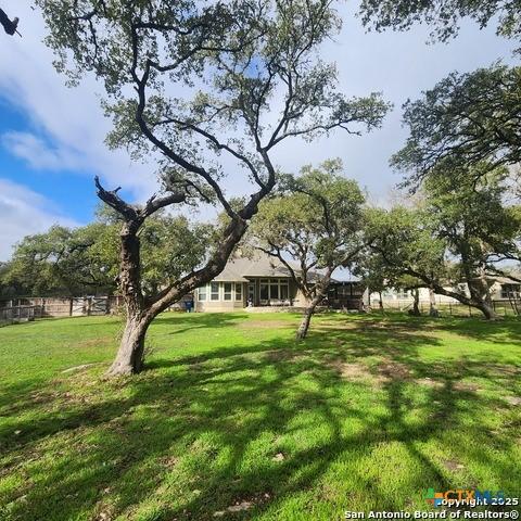 555 Solms Frst, New Braunfels, TX 78132 - view of yard