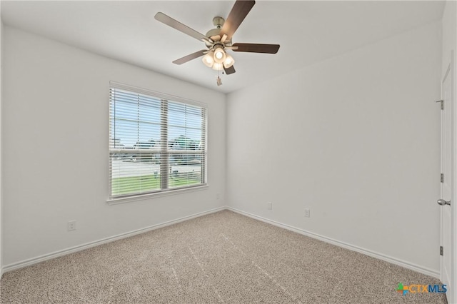 7228 Caladium Dr, Temple, TX 76502 - photo 6