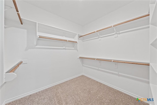 7228 Caladium Dr, Temple, TX 76502 - photo 29