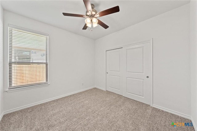 7228 Caladium Dr, Temple, TX 76502 - photo 22