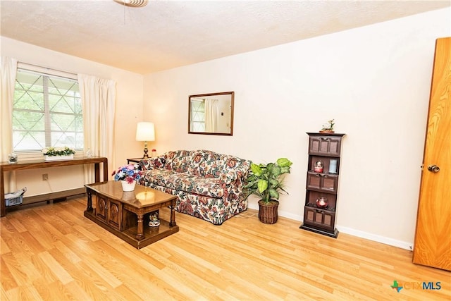 3206 Shady Hill Dr, Temple, TX 76502 - living room featuring wood finished floors