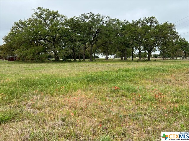 153 Pvt 1671, Hallettsville, TX 77964