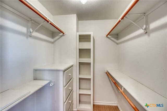 1041 Clarence Rd, Temple, TX 76501 - view of spacious closet