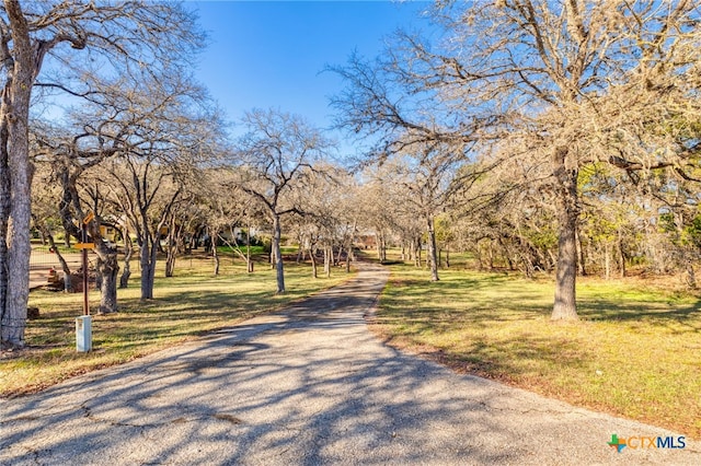 view of community featuring a lawn