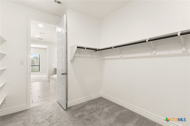 636 Vireos St, New Braunfels, TX 78132 - walk in closet with carpet floors