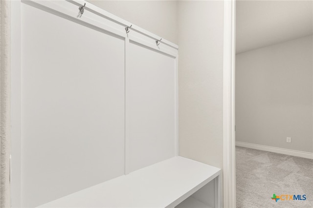 636 Vireos St, New Braunfels, TX 78132 - mudroom with carpet flooring and baseboards