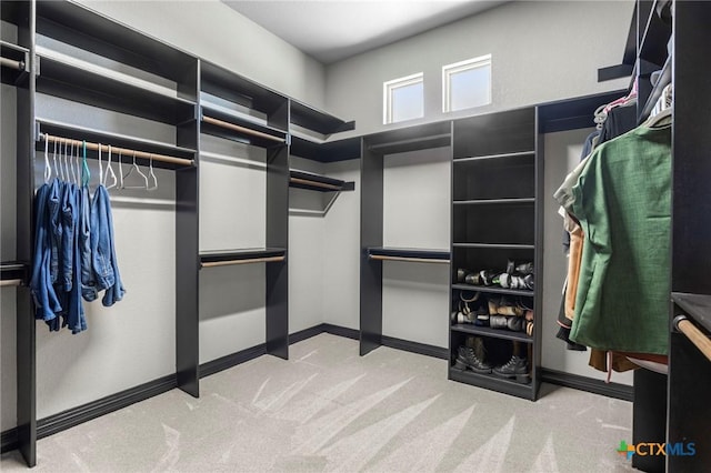 spacious closet featuring carpet floors