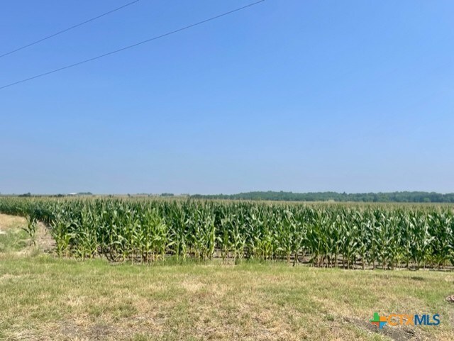 1117 County Road 423, Taylor, TX 76574 - photo 8