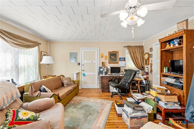 living room with ornamental molding, electric panel, ceiling fan, and light hardwood / wood-style flooring