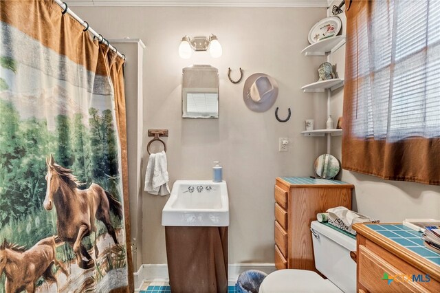 bathroom with vanity, toilet, and a shower with curtain