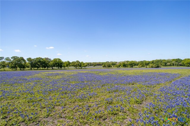 2270 Young Ln, Flatonia, TX 78941