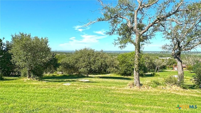 729 Armadillo Ln, Copperas Cove, TX 76522 - photo 42