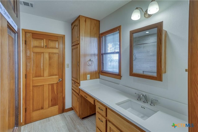 614 County Road 207, Burnet, TX 78611 - bathroom with vanity and wood finished floors