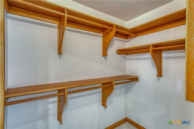 614 County Road 207, Burnet, TX 78611 - view of walk in closet